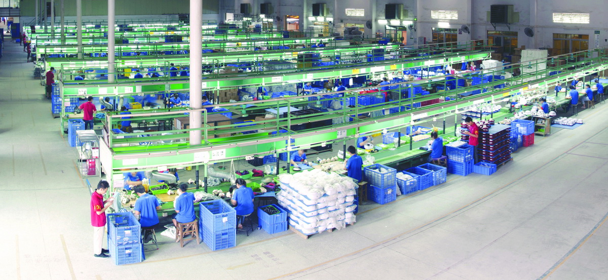 Company profile